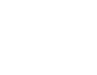 Southern Roots Insurance Agency white logo